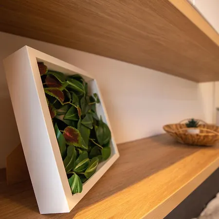Sophisticated Comfort In The Heart Of The - Romana Square Living Daire Bükreş